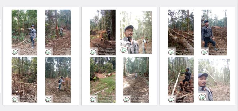 PT Cakra Sejati Sempurna (PT. CSS) Kalteng Diduga Menjarah Hutan & Kejahatan Illegal Logging!!