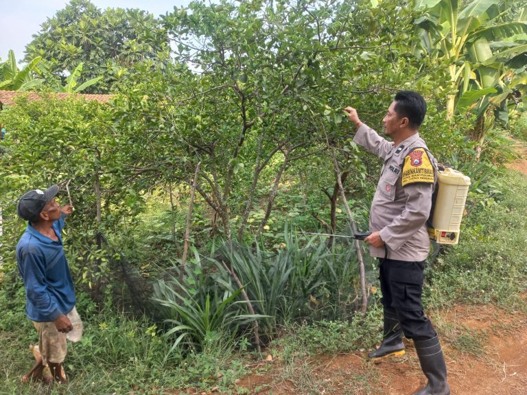 Bhabinkamtibmas Kebon Agung Jadi Garda Terdepan Ketahanan Pangan, Ajak Warga Manfaatkan Lahan Kosong