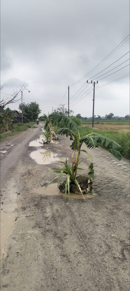 Screenshot_2024-12-06-13-38-15-79_99c04817c0de5652397fc8b56c3b3817